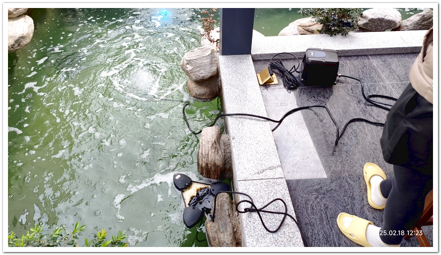 鱼池水质净化