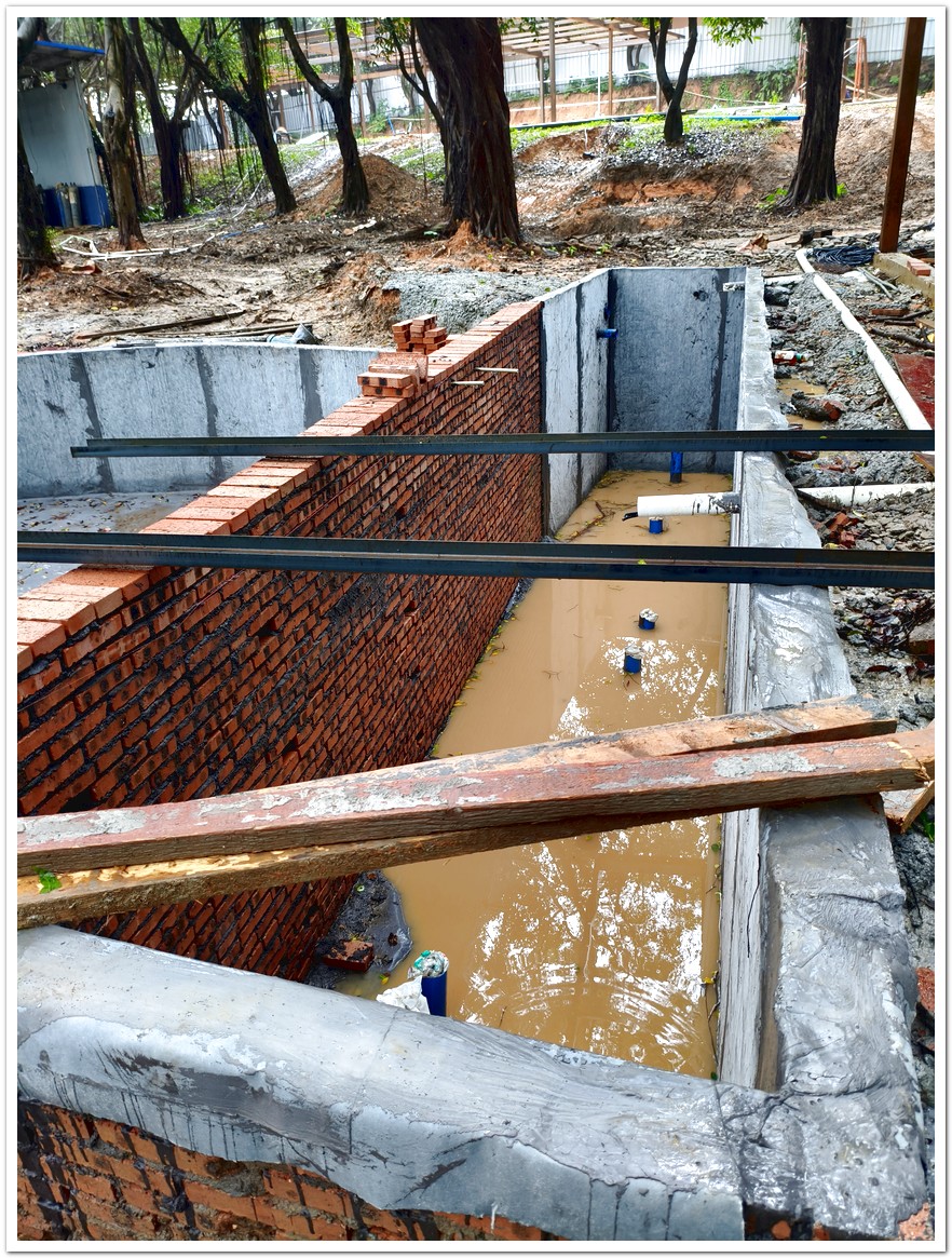锦鲤池建设