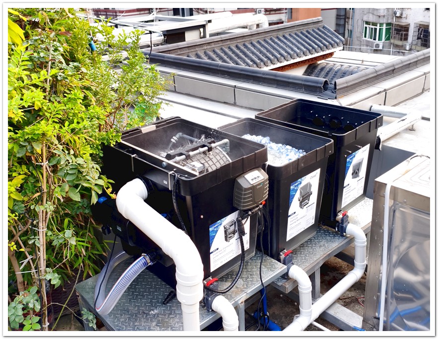 广州越秀区楼顶锦鲤池逆袭记 | 20㎡浅水鱼池的智能过滤重生之路​