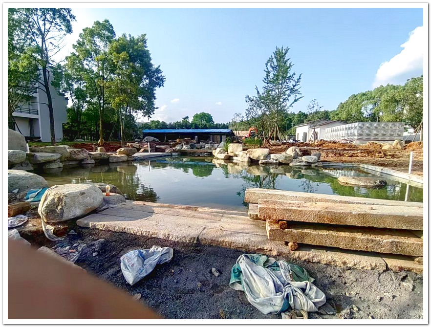300吨水-福建禅意民宿中庭｜300㎡锦鲤池与茶亭的净化美学​